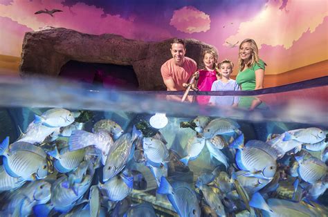 Things To Do In Icon Park Orlando Sea Life Orlando Aquarium