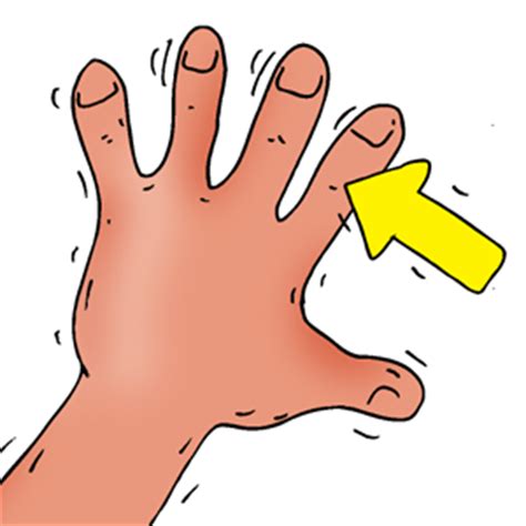 Fingers Clip Art