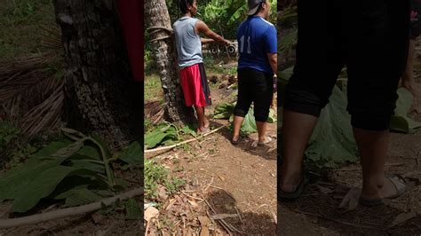 Demikian surat undangan ini dibuat untuk diketahui dan maklim adanya, atas perhatian dan kerja sama yang baik dari seluruh lingkungan jarakan warga rt 03 rw. Kerja bakti - YouTube