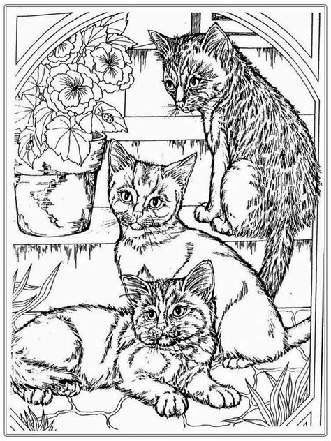 Cat Coloring Pages For Adults Printable