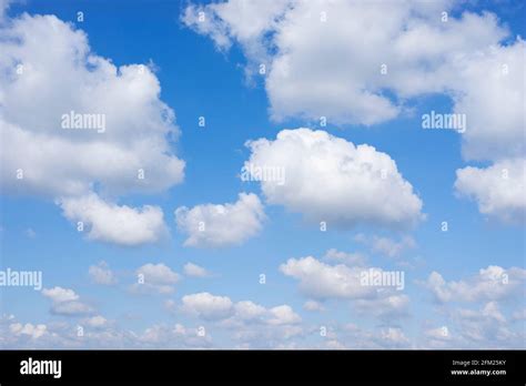 Cumulus Clouds In A Blue Sky With White Fluffy Clouds Background White