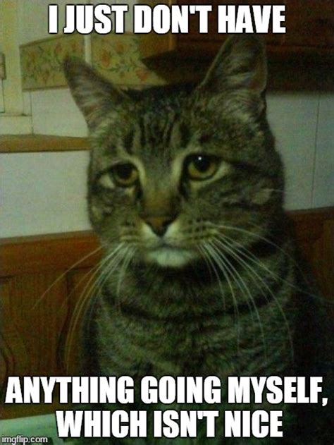 Depressed Cat Meme Imgflip