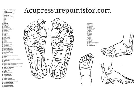 Simple Foot Reflexology Points And How To Guide Find Your Solutions