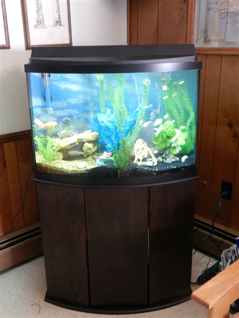 50 Gallon Bow Front Aquarium Lid Aquarium Views