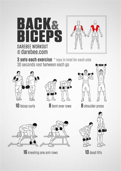 Different Bicep Workouts With Dumbbells Workoutwalls