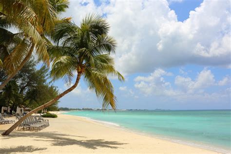8 Cool Things To Do In Grand Cayman