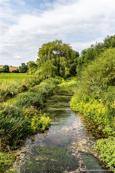 18 Country Walks Near London The Best Walks Close To The Uk Capital