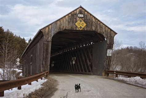 Chico And One Of The Willard Twin Covered Bridges 1052 Flickr