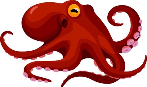 Octopus Png Transparent Image Download Size X Px