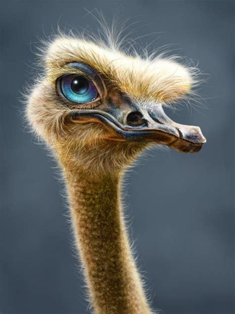 Ostrich Totem By Patrick Lamontagne Decalgirl