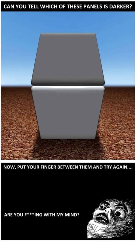Chatological Humor Monthly With Moron Optical Illusions Illusions