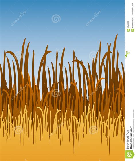 Jungle Grass Vector Illustration Stock Vector