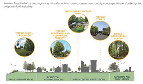 Urban Forest Strategy City Of Courtenay