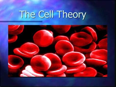 Ppt The Cell Theory Powerpoint Presentation Free Download Id6446230