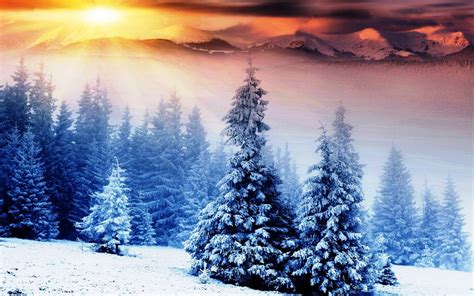Beautiful Winter Wallpapers For Desktop 49 Images