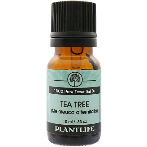 Tea Tree Essential Oil 10mls
