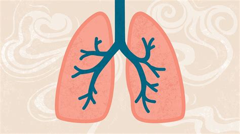 What Are The Causes And Risk Factors Of Copd Everyday Health