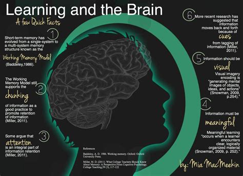 A Nice Graphic On The Relationship Between Learning And The Brain Divers Pinterest Cerveau