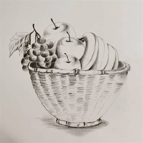 Still Life Object Sketch Fruitbasket Still Life Sketch Life