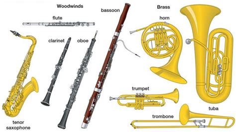 The 4 Main Types Of Music Instruments Explained By Pros Omari Mc 2022