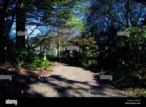 Dawyck Botanical Gardens Stock Photo Alamy