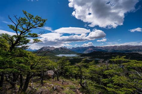 4k 5k El Chalten Patagonia Argentina Mountains Sky Trees Clouds