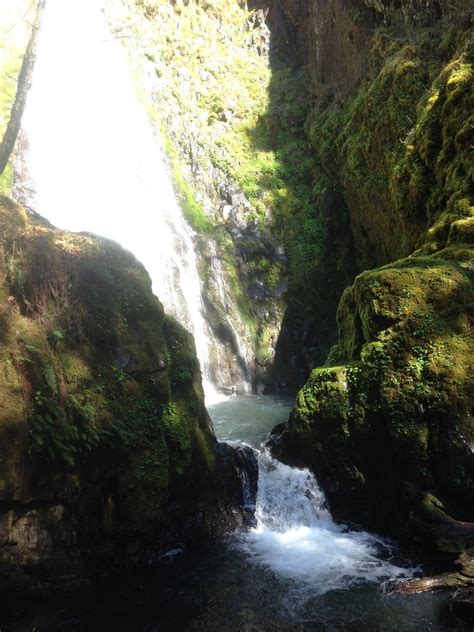 Susan Creek Falls Trail Closed Oregon Alltrails