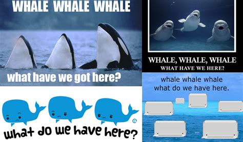 Randomly Funny Whale Whale Whale