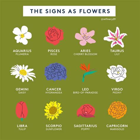 Whats Your Flower Symbol And Do You Agree Zodiacsign Flowers