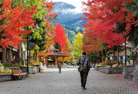 Adventurous Things To Do In Whistler During Fall Claudia Travels