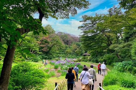 Meiji Shrine Inner Garden Is A Hidden Paradise