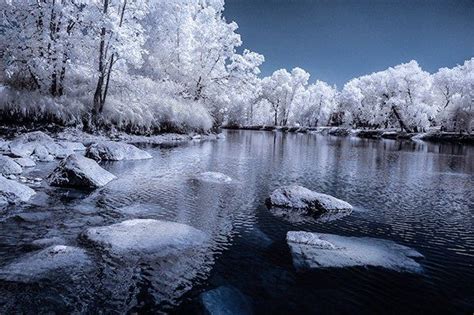 Digital Cameras Have Made The Process Of Infrared Photography