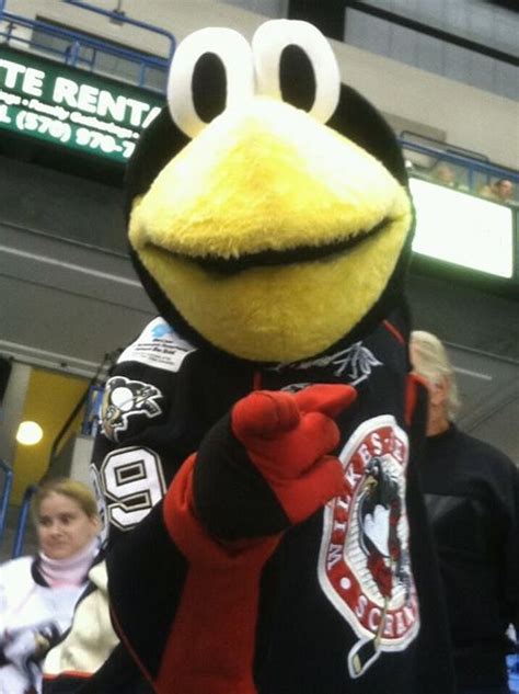 Wilkes Barre Scranton Penguins Mascot Tux Penguins Hockey Hockey Logos Mascot