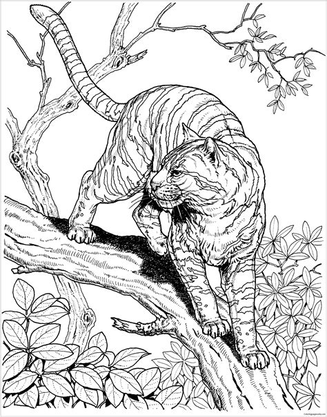 Hard Animal 2 Coloring Page Free Printable Coloring Pages