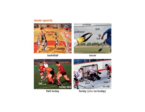 • sports medicine (noun) the noun sports medicine has 1 sense: stick_1 noun - Definition, pictures, pronunciation and ...