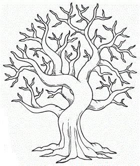 For fans of nature, here is a series of coloring pages on the theme of trees. Pin by Pratima Kapoor on ED. INFANTIL - PROJECTES | Tree ...