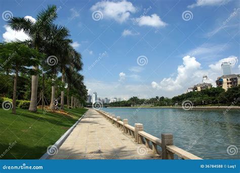 The Scenery Of Xiamen Modern City In China Stock Photo Image Of