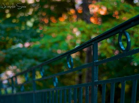 Wallpaper Sunlight Landscape Fall People White Black Old Model