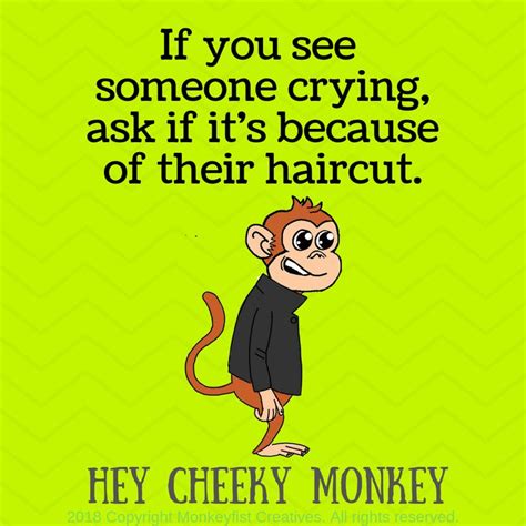 Pin On Hey Cheeky Monkey