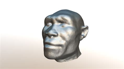 Homo Erectus Head Reconstruction Vcu3d4630 3d Model By Virtual