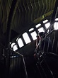 Inside the crown- Statue of Liberty | My pictures, Statue of liberty ...