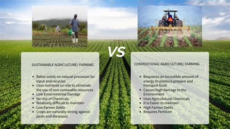 Sustainable Agriculture Vs Conventional Agriculture