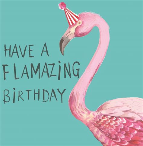 Greeting Cards Have A Flamazing Flamingos Birthday Card Sooshichacha