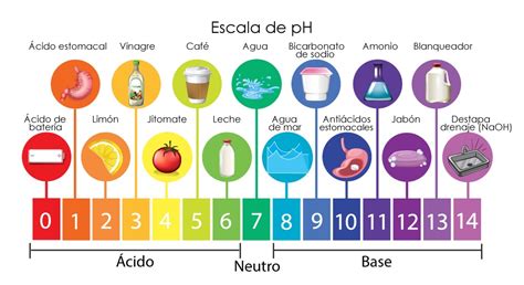 Ácidos Bases Y Ph 57 Jugadas Quizizz