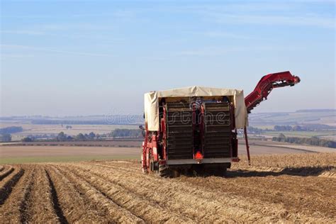 An Old Potato Harvester Stock Image Image Of Rusty 41879125