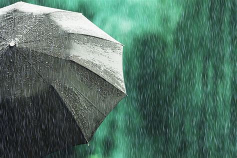Weather Update Isolated Showers Thundershowers Expected In Gauteng