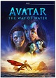 Avatar: The Way of Water (DVD) - Walmart.com