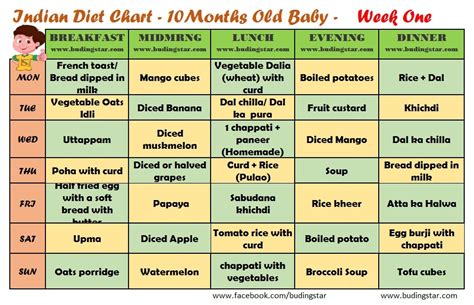 Meal Ideas And Tips For 10 Month Baby Food Chart Buding Star