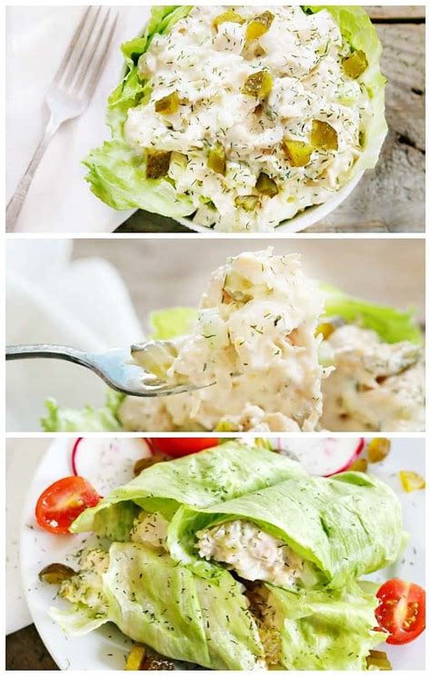 The sugar substitute is optional, but adds a nice balance to the salty dill pickles. Dill Pickle Chicken Salad- Keto, Low Carb, ZERO Weight ...