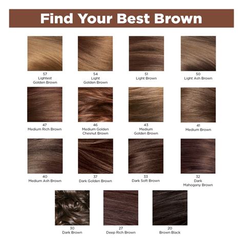 Light Chestnut Brown Hair Color Chart